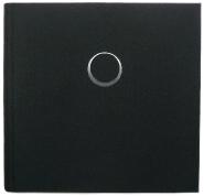 Niemandsrose 2 aussen