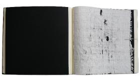 Niemandsrose2innen1a