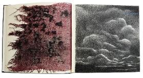 Niemandsrose2innen4a