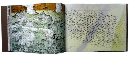 M�ll 2 Pappe innen