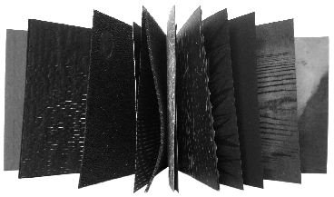 Muell 2 Plastik innen 2